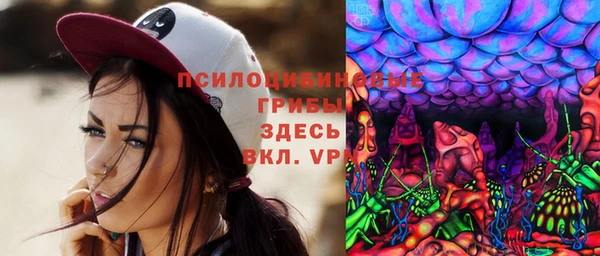 ГАЛЛЮЦИНОГЕННЫЕ ГРИБЫ Зеленодольск