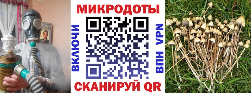 купить наркотики сайты Верхняя Салда Псилоцибиновые грибы ЛСД